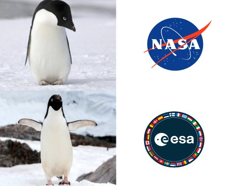 Sad penguin "NASA" Happy penguin "ESA"